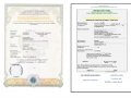 Certificado de Derechos