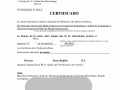 9-Penales documento traducido traductor jurado