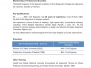 Curriculum vitae ingeniero