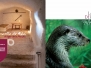 Folleto Casas Rurales